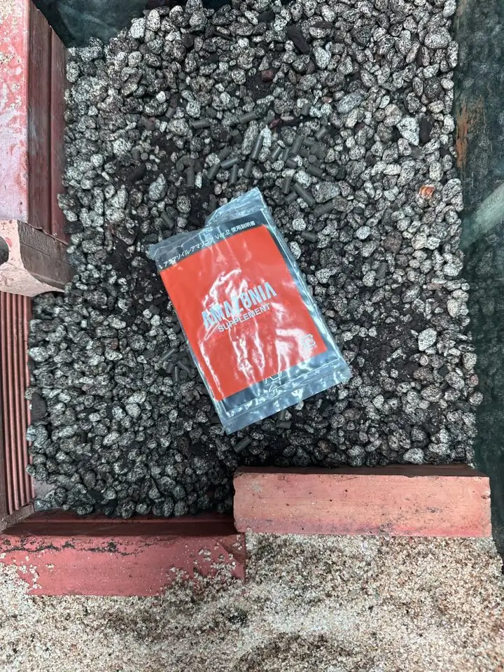 Aquascaping steps - Connecting - IAPLC 2025 Honor Prize - Long Tran Hoang / Vietnam